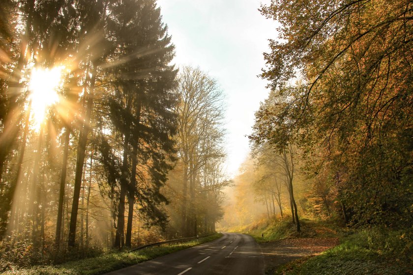 20171018-IMG_7743 Kopie