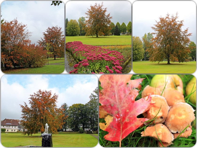 Collage_Herbst_2