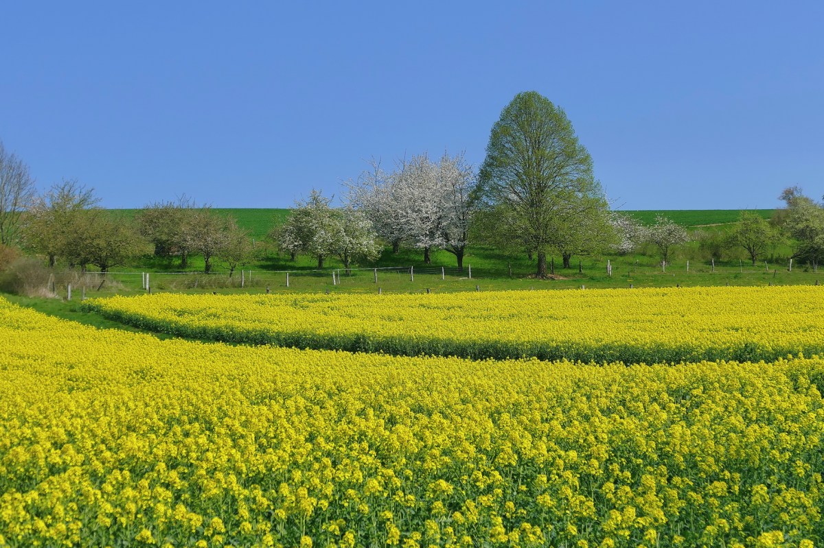 Vom Spätwinter in den&nbsp;Vollfrühling